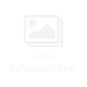 Calamar Champiñón
